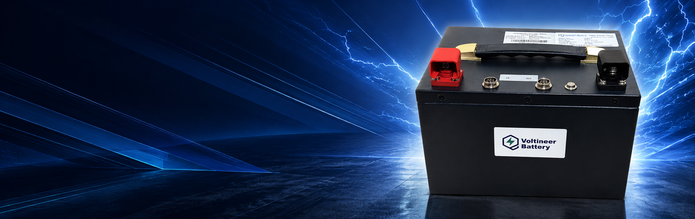 Voltineer VTH24-20DS